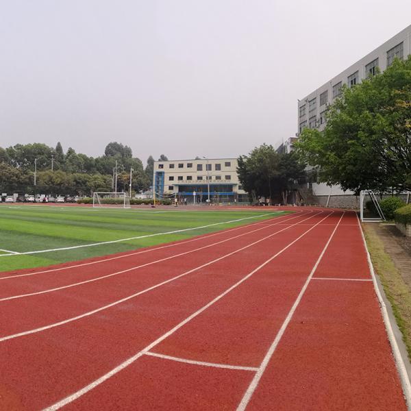6 Years Multicolor Chemical Resistance Jogging Track Material Durable