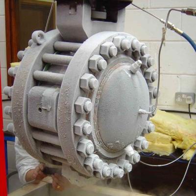 Wafer / Lug / Flange Type Double Disc Cryogenic Valve