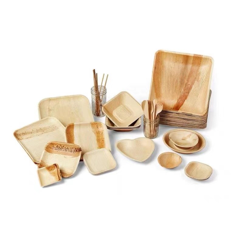 Лист ладони 100% Compostable Biodegradable покрывают устранимое