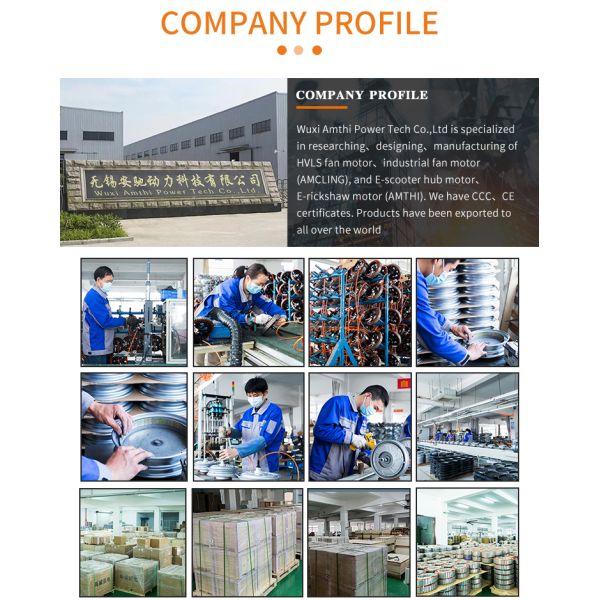 6 años de vida de triciclo eléctrico para adultos E Rickshaw y motor con tambor/disco/freno de aceite