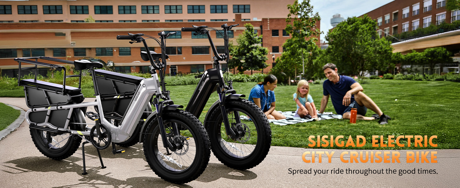 OEM Long Tail Cargo Ebike Wholesale 48v 1500w Dual Suspension Electric Cargo Bike Electric Hybrid Bicycle with 3.0 Fat Tire