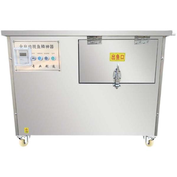 304 machine automatique d'écoulement de poisson en acier inoxydable 5-75 kg/heure facile à utiliser