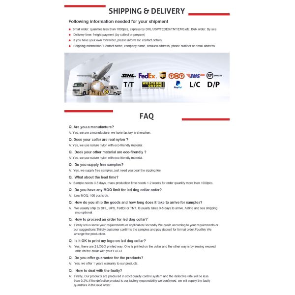 Adjustable Reflective Plain Nylon Webbing Neoprene Dog Collars For Safety