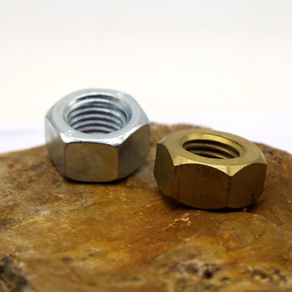 Cold Heading Customized Stainless Steel Nut Metric Systems DIN ISO Standard