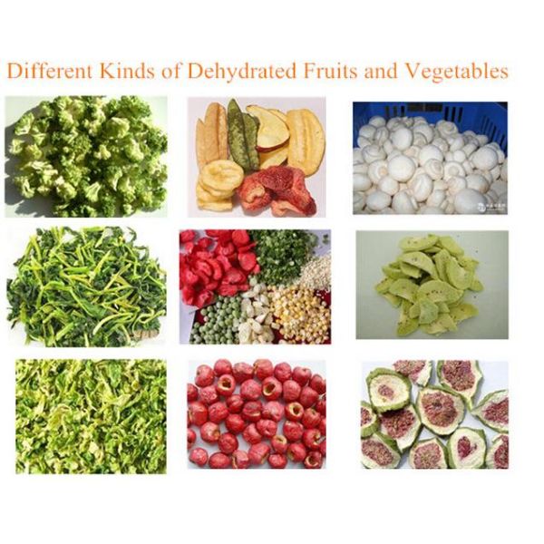 Fruit Vegetalbe Food Drying Machine Tomato Apple Grape Dehydrator Stainless Steel