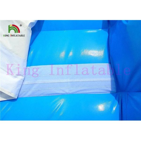 Corrediça seca inflável do PVC do golfinho branco azul com corrediça da placa e ventilador do CE