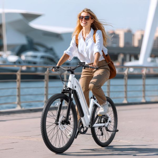 TST C624 Adult Electric Mountain Bike Rear Hub Motor Steel Frame Disc Brake Brushless Motor 10.4Ah Lithium Battery