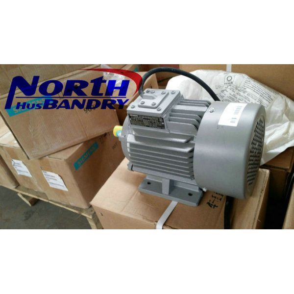 injection of poultry