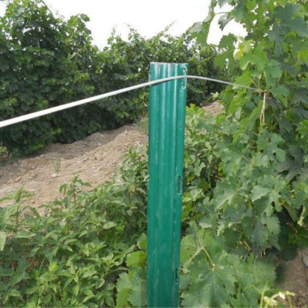 Anti Rust Plant Support Posts For Gardens Long Life Span ISO9001 Approval