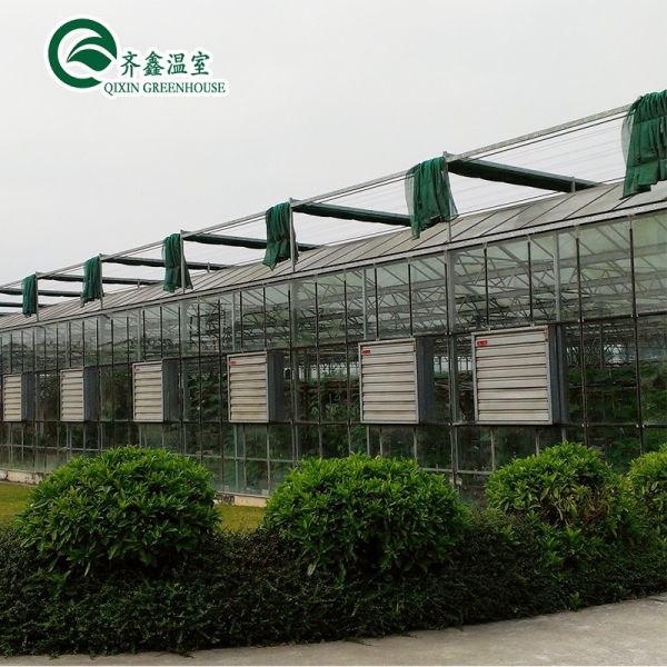 Glass Greenhouse Ventilation System with Tempered Glass or PC Sheet Top Covering