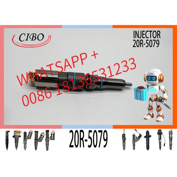 Fuel Injector C9.3 C9 Engine Parts 4563493 456-3493 456-3509 4563509 363-0493 20R-5079 For  336E 336F E336E E336F Exc