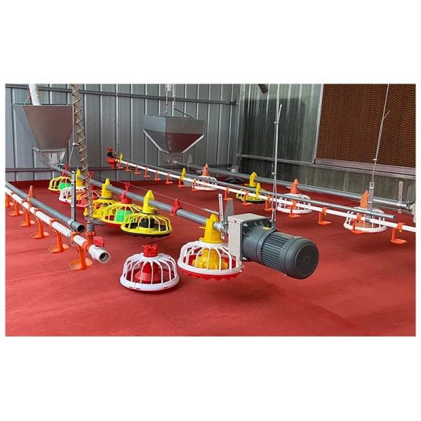 Chicken Drinking Automatic Pan Feeding System For Poultry Farming Equipment