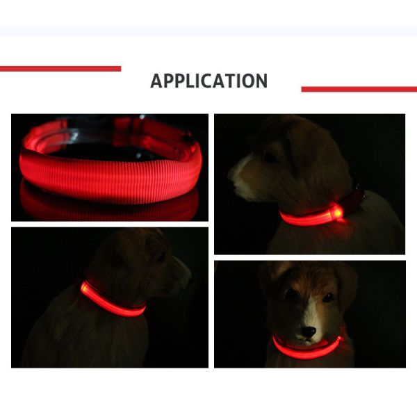 Glow In Night Waterproof Light Up Dog Collar Usb Rechargeable Dog Collar