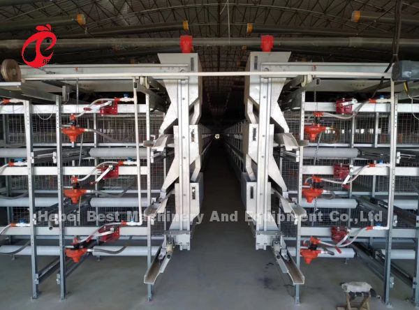 Тип CE h клетки цыпленка бройлера, полноавтоматическое оборудование Adela клетки бройлера