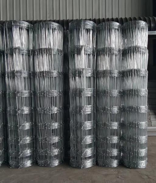 Customized Main Iron Gate Designs High Grade Design Silver 6Ft 7Ft Hinge Joint Fence
