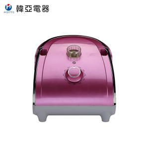Laundry Garment Steamer