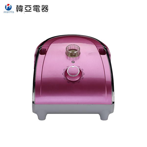 Handheld Mini Clothes Steamer Purple Colour Stainless Steel Panel With Hanger