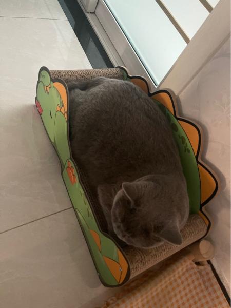 Lovely Dinosaur Sofa Cat Scratch Board Large Space Cat Scratching Board Comfortable and Resistant to Scratching