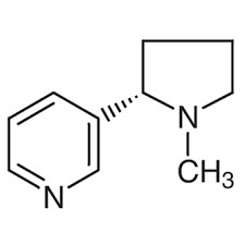 Thermo Scientific Chemical Intermediates L-Nicotine Oily Liquid 99% Cas 54-11-5