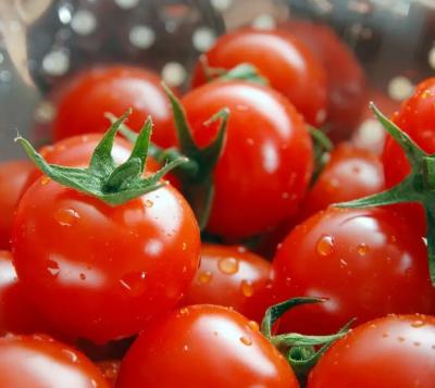Linha de processamento fresca de alta capacidade automático da pasta de tomate