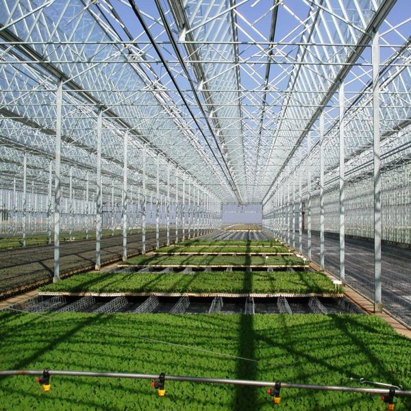 Outdoor Irrigation Agricultural Greenhouse Solar System