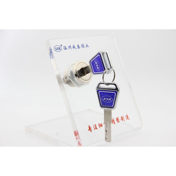 Anti Theft Disc Tumbler Cam Lock Novel Designed With Brass Cylinder