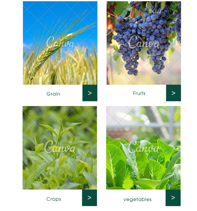 Удобрение 80% рыб аминокислоты протеина еды рыб энзима расстворимое в воде улучшает Biofertilizer почвы