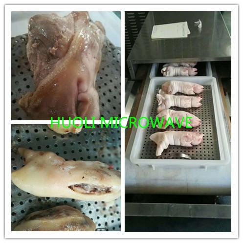Industrial Microwave Dryer Conveyor Type Food Sterilizing Equipment
