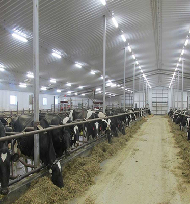 120V-277V / 120V-347V IP66 IK10 LED Vapor Tight Fixture for Commercial and Industrial