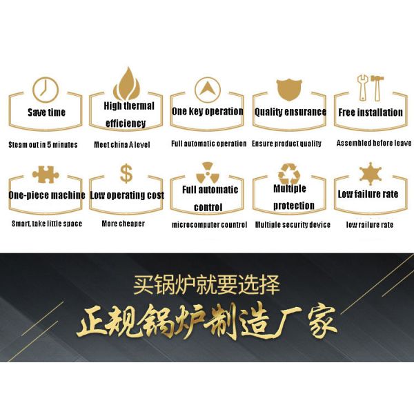 1000 килограммов боилера главного начальника боилеров биомассы боилера пара природного газа вертикального коммерчески