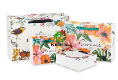Recyclable Retail Shop Bags Customized Color / Material Printing For Boutique