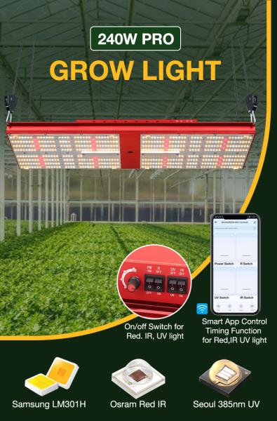 Bavagreen Quantum Board LED 240W Samsung Lm301h Indoor Plant Grow Light