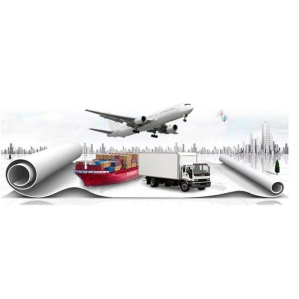 High Strength Rolled Coil Steel A570 Gr. D 3.2mm Hot Rolled Ms Sheet