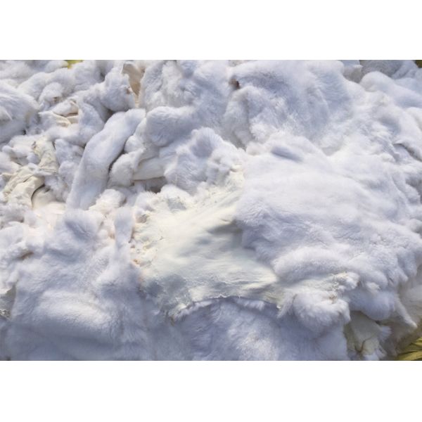 Piel real del conejo de la bufanda del conejo del 100% Rex, pieles teñidas auténticas de la piel del conejo de la menta para la manta casera