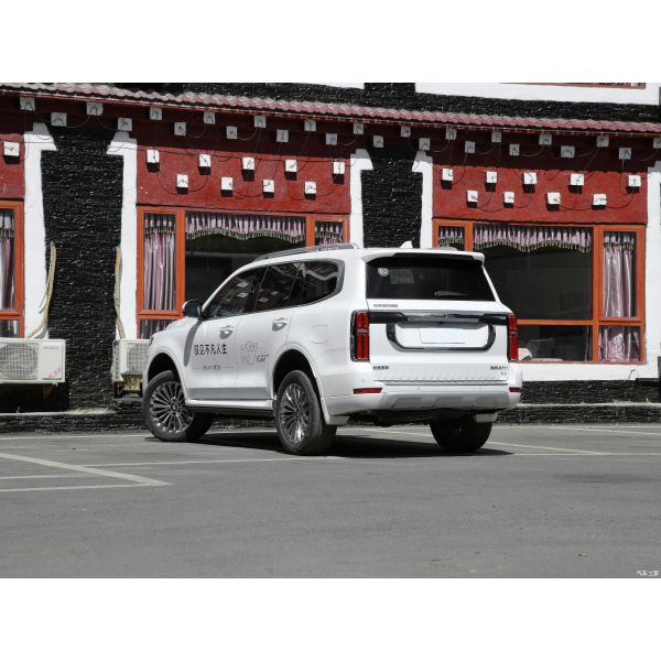Tank 500 3.0T SUV à essence voitures 5 sièges SUV blanc 9 Bloc mains OEM dans un corps