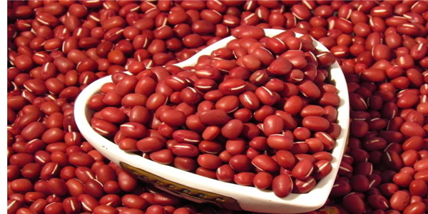 Healthy Food Spray Dried Vegetable Soup Powder Red Bean Powder
