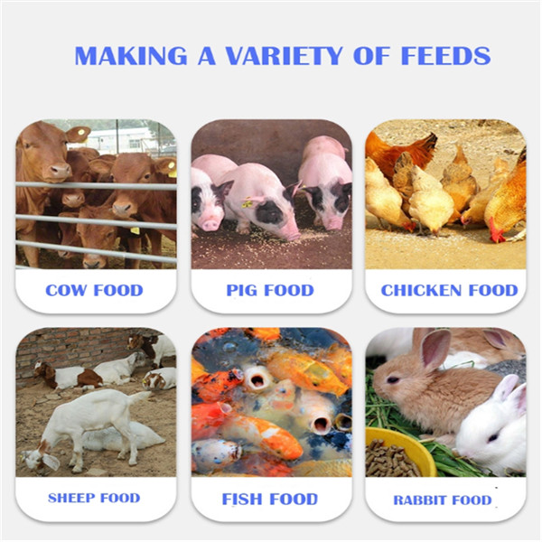 Alimentation Dry Type Fish Feed Pellet Extruder 150kg/ H 120kg/ H