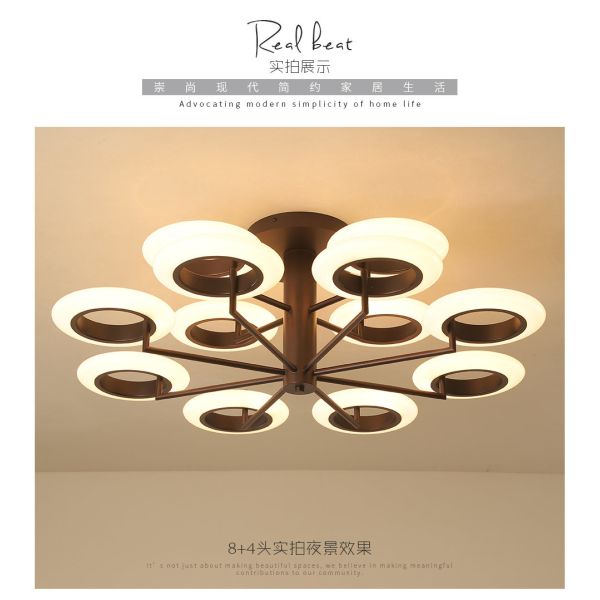 The 2018 new fashion iron + aluminum alloy plus acrylic interior lights 30W / 50W / 120W