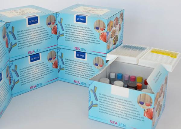 Strong Sensitive HCGB Antibodies Pregnancy Test Products Use OEM Service