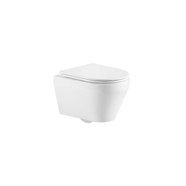 High Quality Washdown Tornado Flush Ceramic Bathroom Soft Seat Cover Wall Mounted Toilet