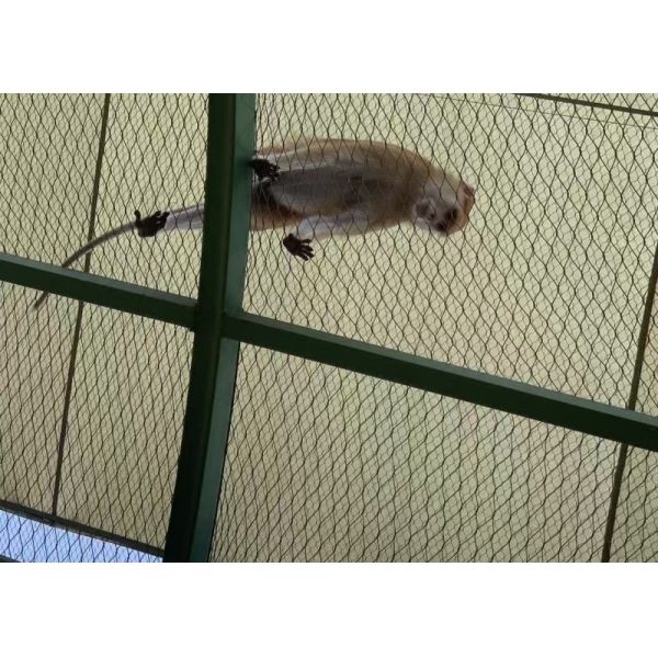 Woven Stainless Steel Wire Rope Mesh For Zoo Bird Parrot Aviary Safety Fencing