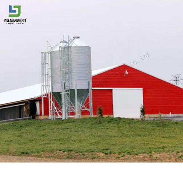 層ケージ 卵 鶏 鶏家 10000羽の鶏 鶏場 設備 鶏場 鶏場 鶏場