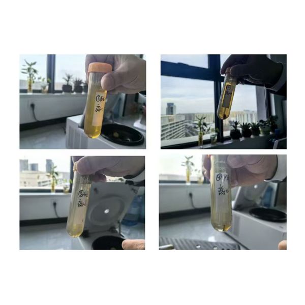 16500 RPM High Speed Microcentrifuge 18x5ml Benchtop Microcentrifuge 24148xg 18x5ml