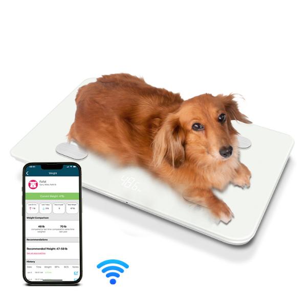 Balance numérique pour animaux de compagnie, pèse-personne numérique pour animaux de compagnie, recommandation de poids maximum 30 kg, balance de santé pour chats et chiens