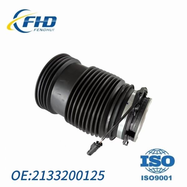 OEM 213 Mercedes Benz E Class Rear Air Bag Left Air Suspension Kit For Cars