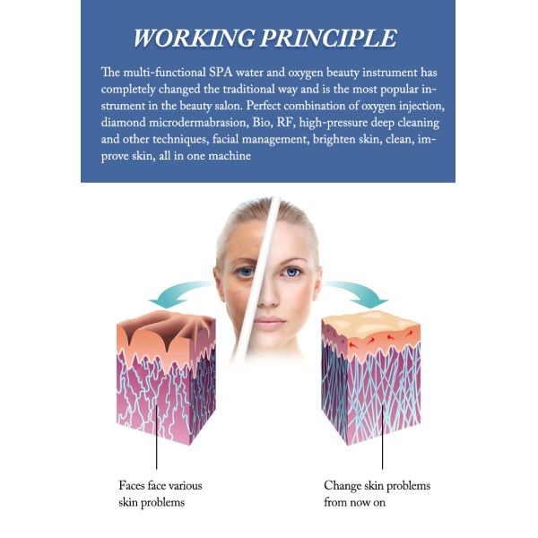 800W 240V Beauty Therapy Machine 9 In 1 Micro Dermabrasion Facial Deep Cleaning