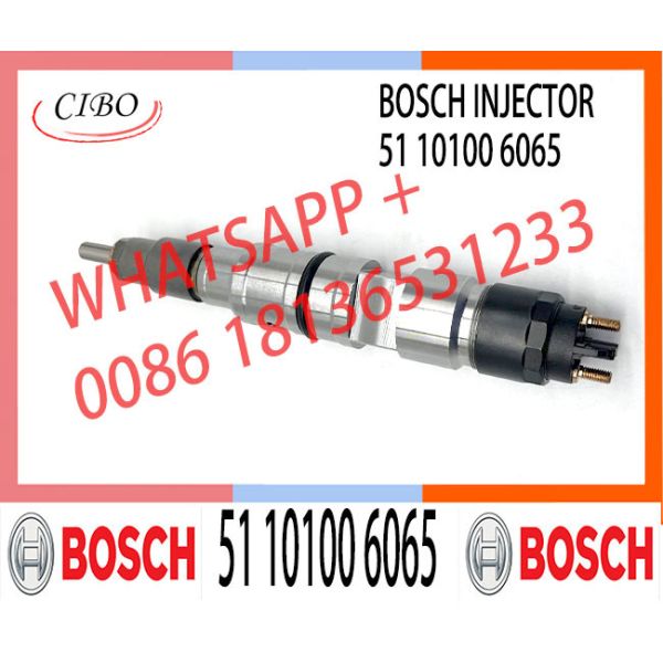 Китай сделал новые 0445120098 дизельную автоматическую систему подачи топлива 0 445 120 098 для 120 # CRIN2-16 51 двигатель дизеля 10100 6065