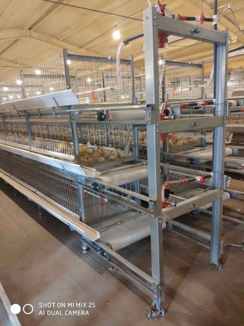 Stacked broiler cage