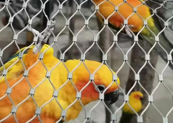 2.0mmの飼鳥園ワイヤー網、Ferruledオウムの飼鳥園の網