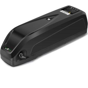 Custom 48V 20Ah Hailong Ebike Battery for 1000W Motor with Customizable Options